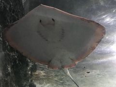 -南昌海洋公园
