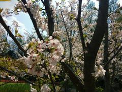 -晶采轩(虹桥路店)