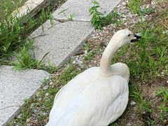 -长春世界雕塑园