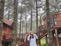 -洛阳白云山景区