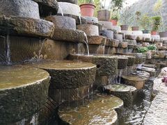 -靖西鹅泉风景区