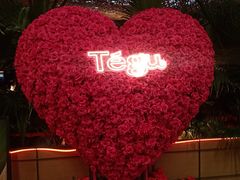 -Tegu泰古莲·泰国餐厅(红山6979店)