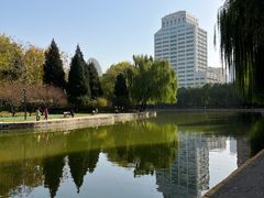 -团结湖公园