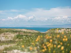 -青海湖国家重点风景名胜区