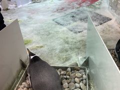 -大连圣亚海洋世界