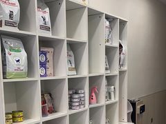 -佳怡动物医院·平价24小时·猫专科骨外科