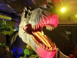 -恐龙探索乐园(磁器口店)