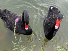 -春晖园度假酒店温泉