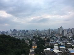 -金鸡山公园