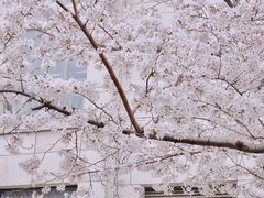 -南京明基医院