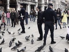 -圣马尔谷圣殿宗主教座堂