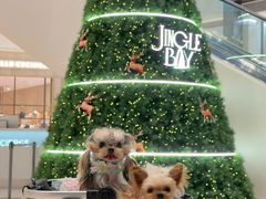 -深圳湾万象城(南山店)