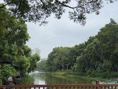 -荔湾湖公园
