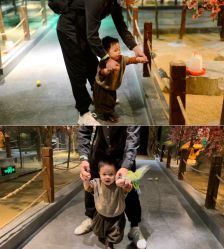 -酷嗒动物文化乐园(cutezoo西溪乐天城店)