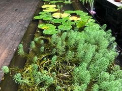 -箱美术馆私房菜(水晶郦城店)