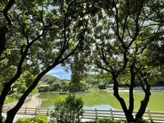 -广州市帽峰山景区
