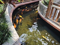 -侠成水上农庄(工业大道店)