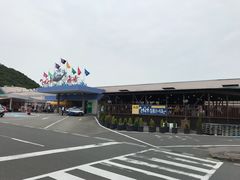-海鮮寿司とれとれ市場