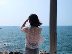-广东惠东海龟国家级自然保护区