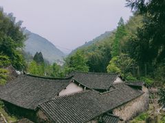 -MOJ coffee(瓯海泽雅水碓坑店)