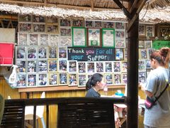 -Jungle Kitchen