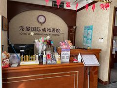 -宠爱国际动物医院· 猫科· 外科·中兽医(长白店)