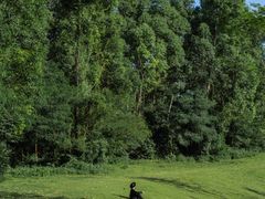 -白石龙音乐公园