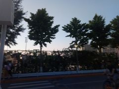 -北京师范大学邱季端体育馆