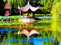 -陶然亭公园
