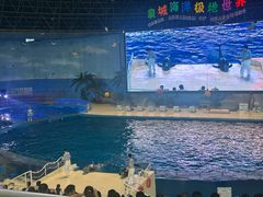 -泉城欧乐堡海洋极地世界