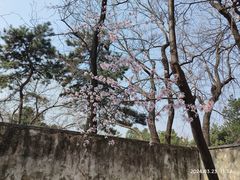 -颐和园