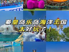 -秦皇岛乐岛海洋王国