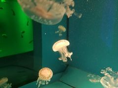 -石林冰雪海洋世界