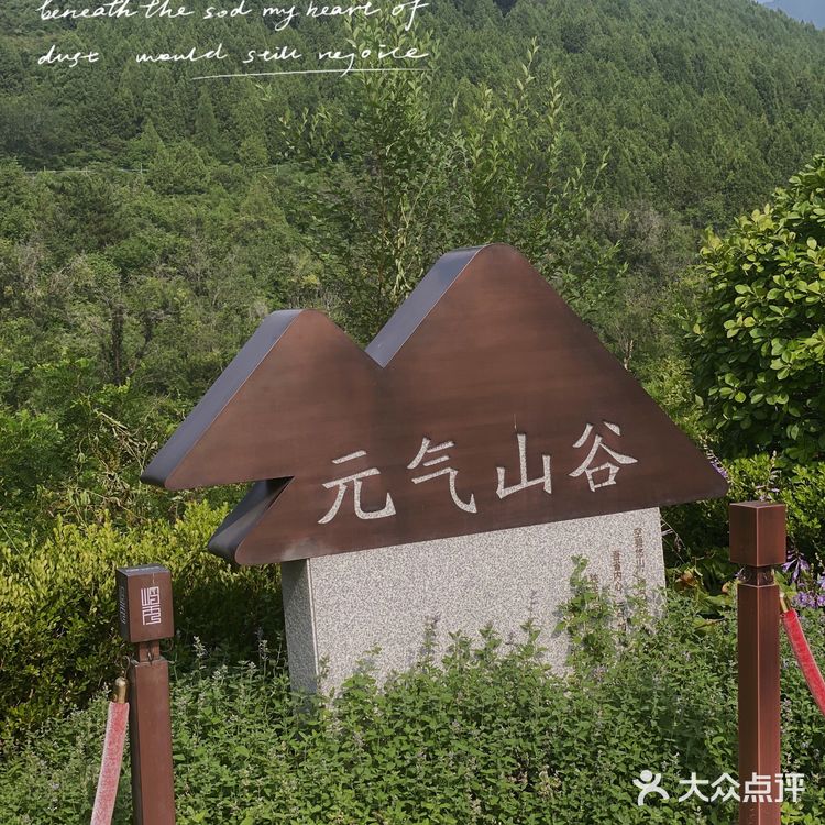 北京探店｜湖光山色中略带禅意的咖啡厅☕️