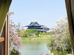 -海珠湖公园