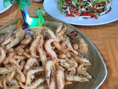 -凤百年大骨鸡饭庄