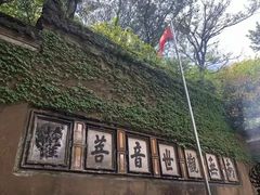 -普陀山风景区-佛顶山