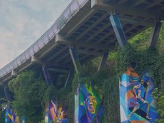 -飞凤山奥体公园