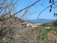 -广州市流溪河国家森林公园