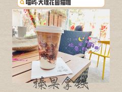 -喵屿·大理花园猫咖