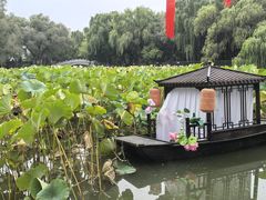 -北陵公园