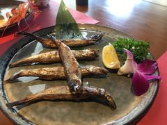 -石葵(锦业时代店)