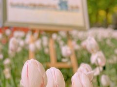 -北京国际鲜花港