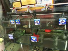 -南海渔家•海鲜•正宗海南菜(海棠湾店)
