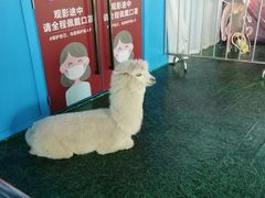 -完美世界影城(昆明翡翠湾店)