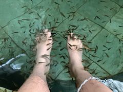 -渔岛海洋度假区