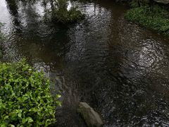 -中国茶叶博物馆(双峰馆区)