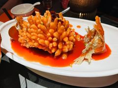 -小厨娘金榜题名(夫子庙秦淮河店)