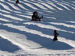 -绿野森林乐园冰雪季