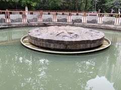 -成都市活水公园
